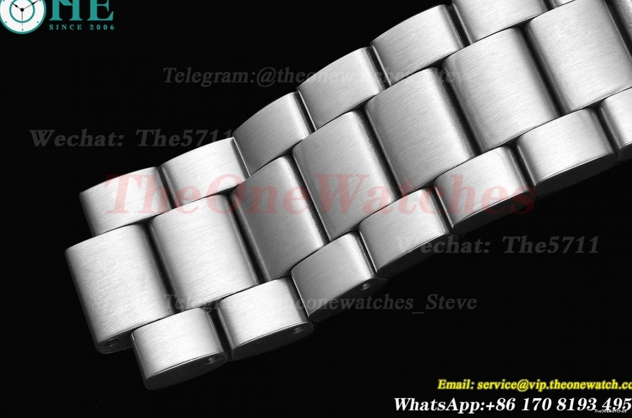 GDF Black 43mm 600m SS Seamaster SS Stk MY8215 0306